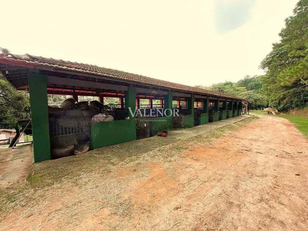 Fazenda, 22 hectares - Foto 9