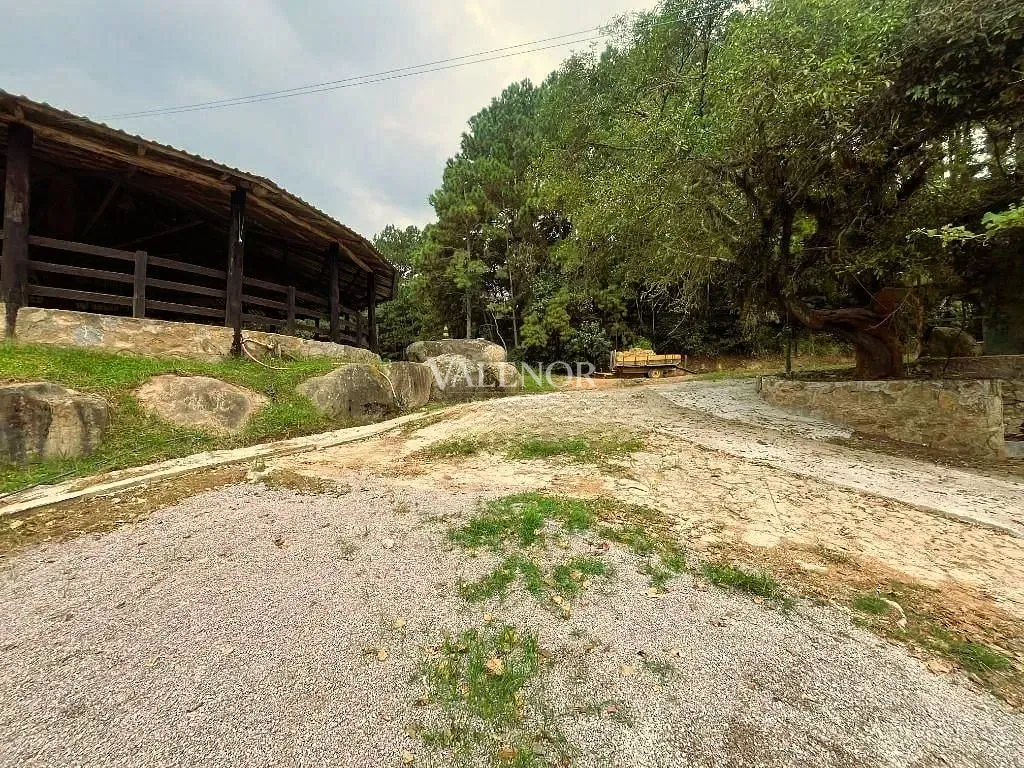 Fazenda, 22 hectares - Foto 12