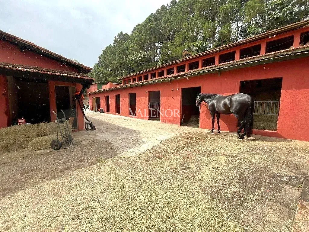 Fazenda, 22 hectares - Foto 5