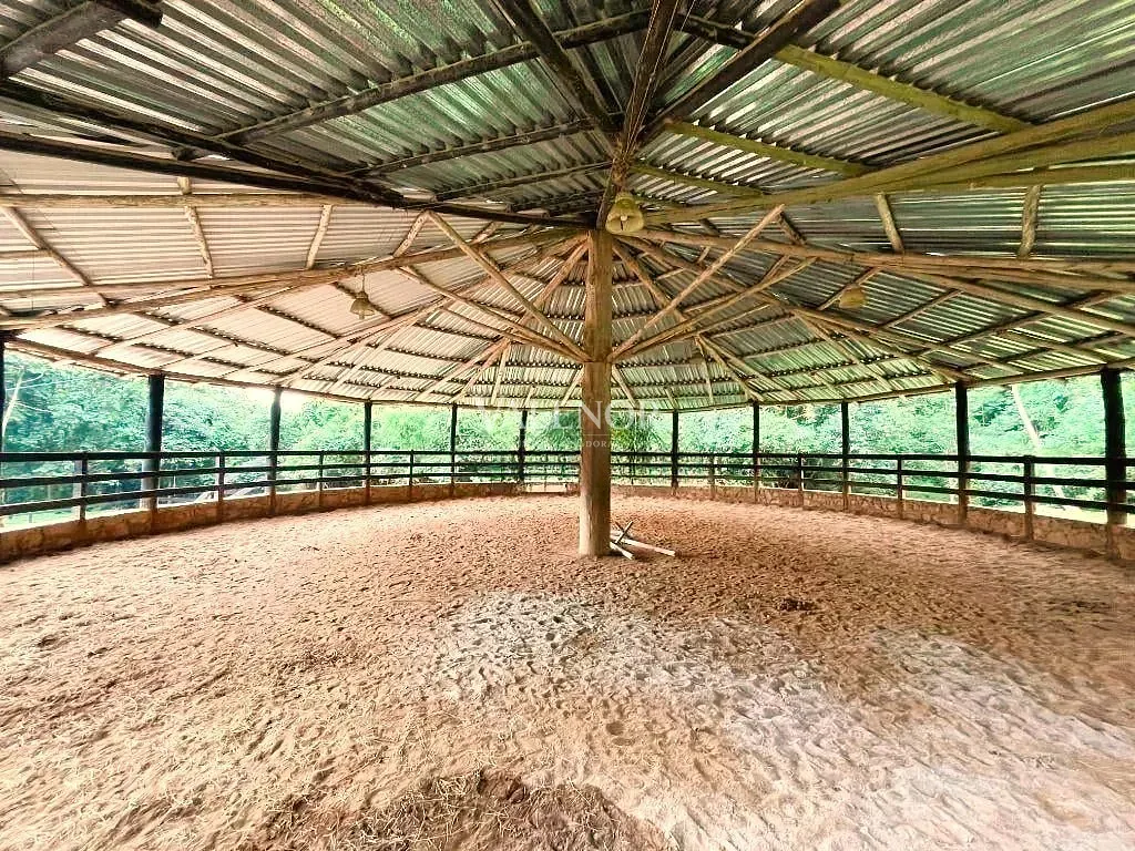 Fazenda, 22 hectares - Foto 8