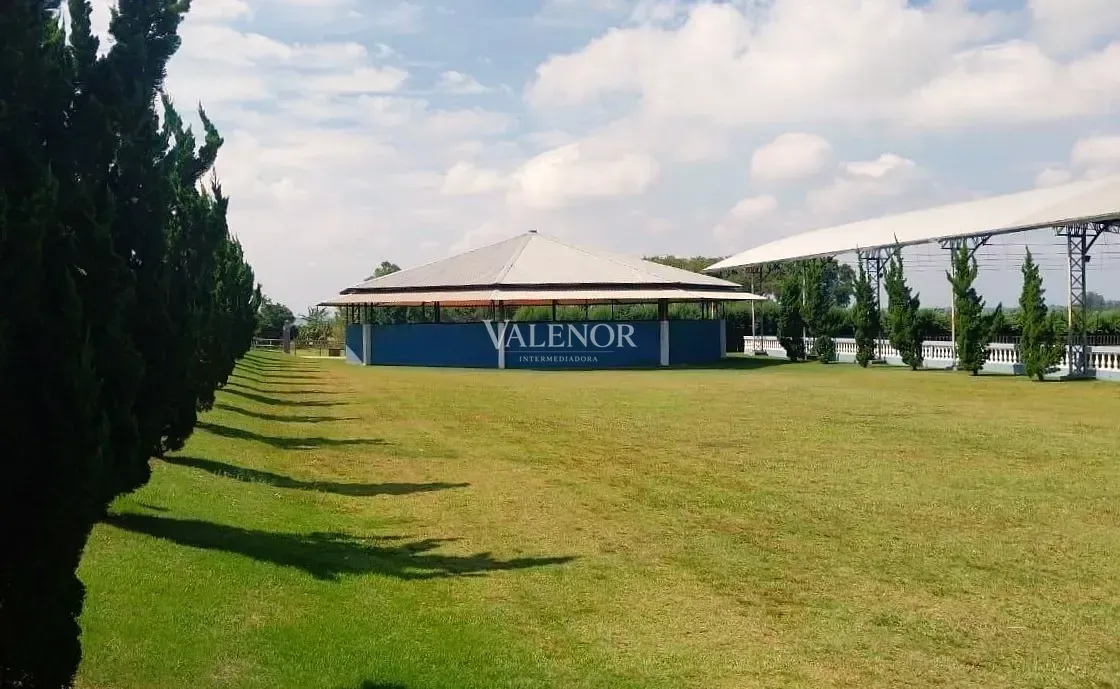 Fazenda, 48 hectares - Foto 14