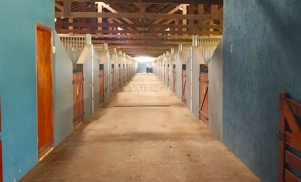 Fazenda, 48 hectares - Foto 1