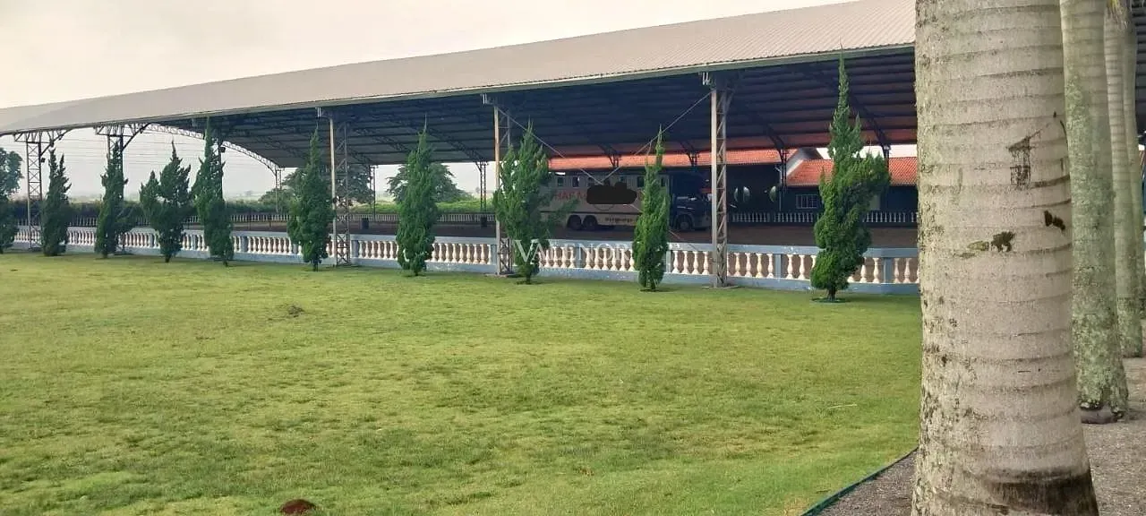 Fazenda, 48 hectares - Foto 9
