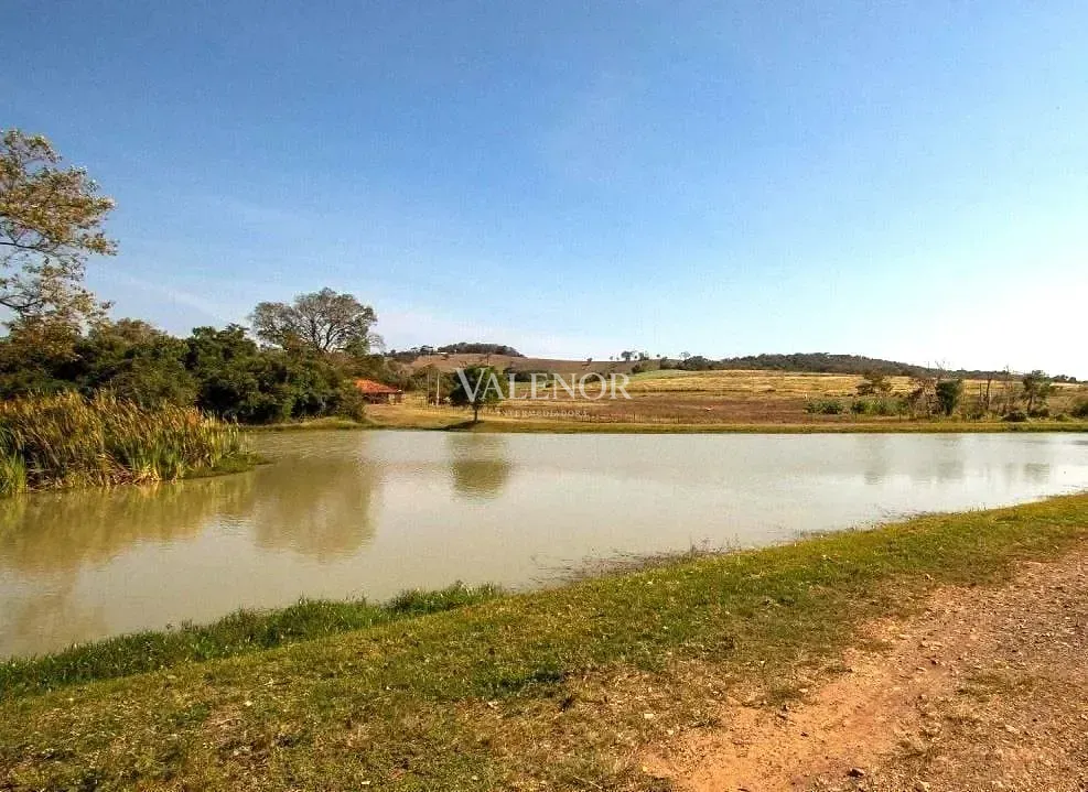 Fazenda, 48 hectares - Foto 31