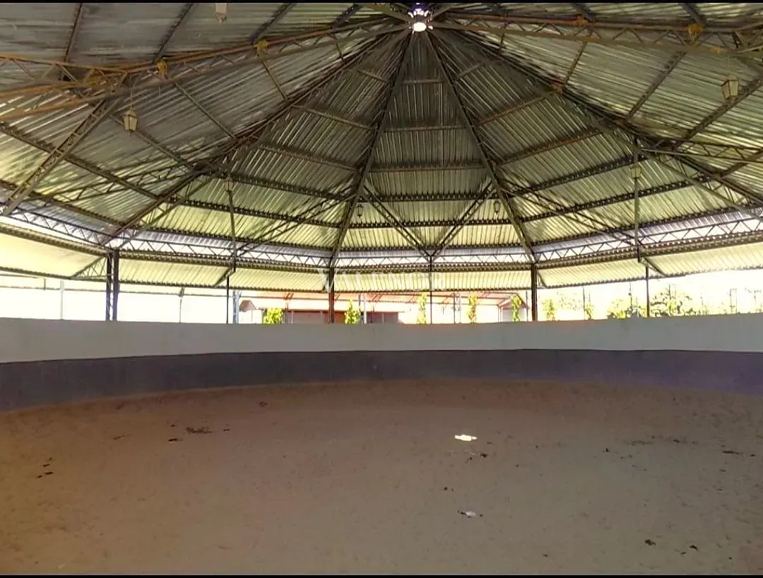 Fazenda, 48 hectares - Foto 15