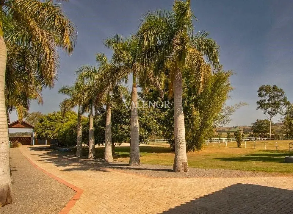 Fazenda, 48 hectares - Foto 10