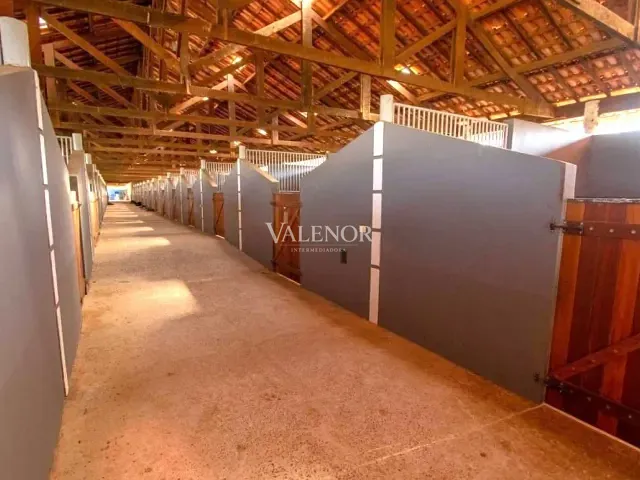 Haras com 484000m² 9 quartos e 8 banheiros, à venda, no bairro Centro em Quadra