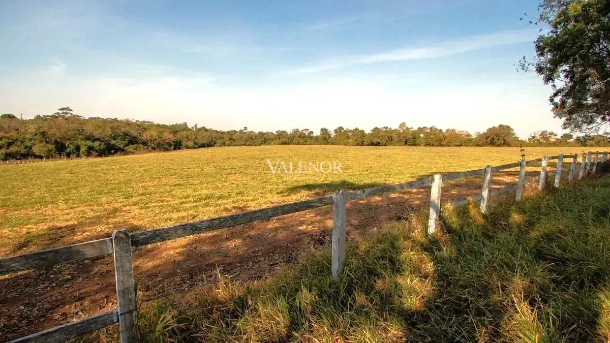Fazenda, 48 hectares - Foto 27