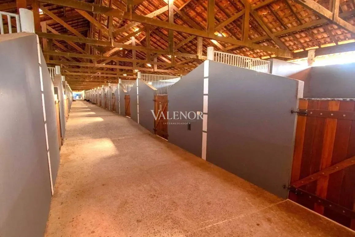 Fazenda, 48 hectares - Foto 2