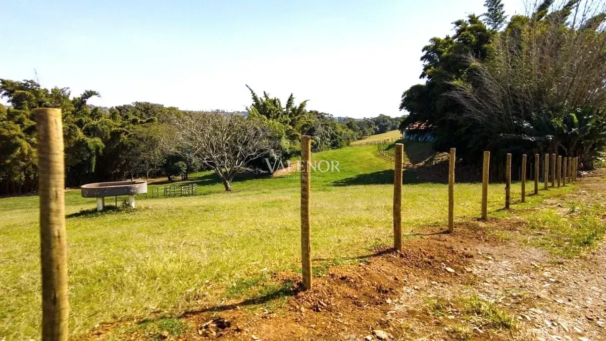 Fazenda, 48 hectares - Foto 30