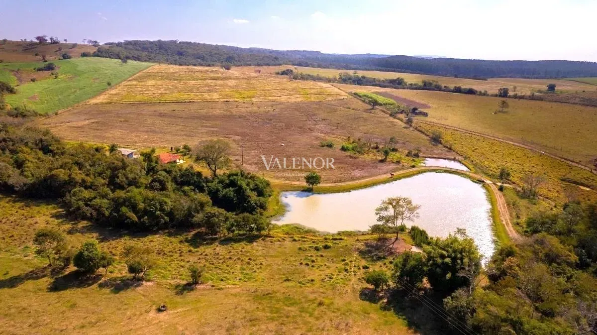 Fazenda, 48 hectares - Foto 29