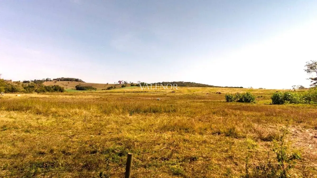 Fazenda, 48 hectares - Foto 32