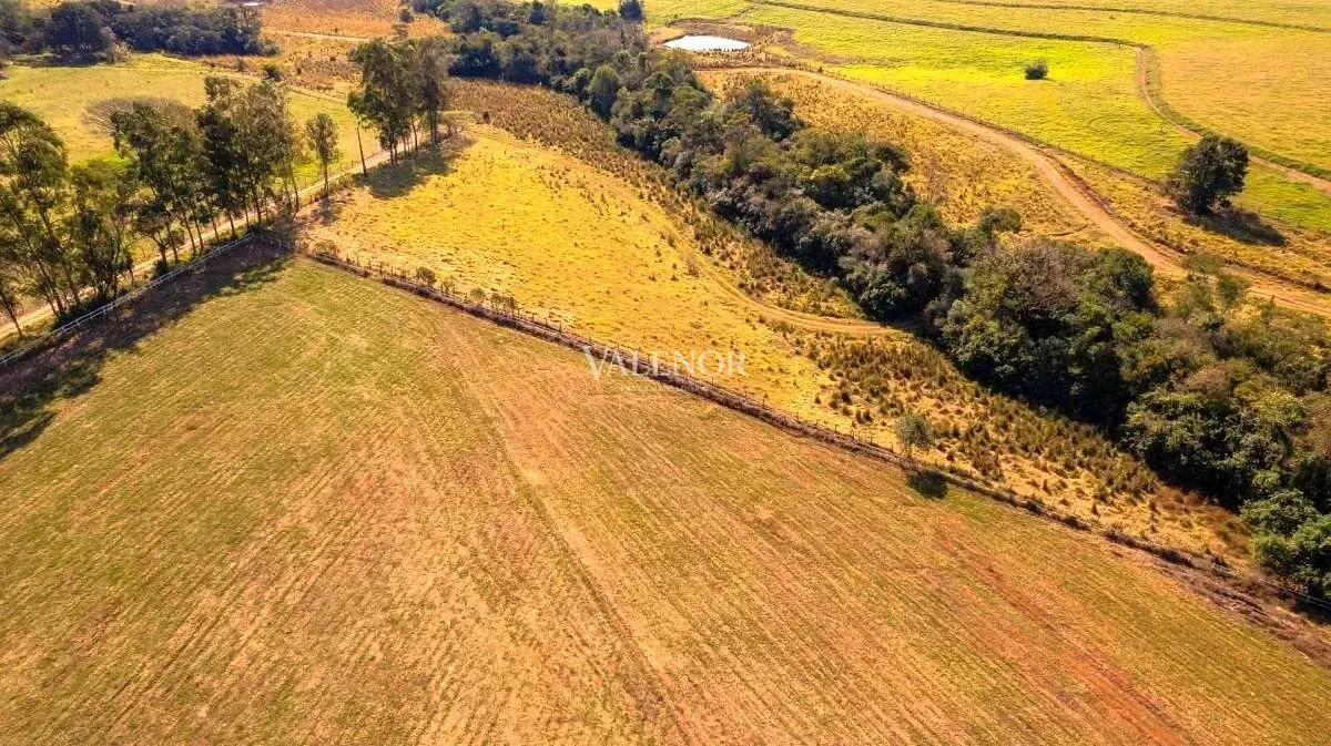 Fazenda, 48 hectares - Foto 28