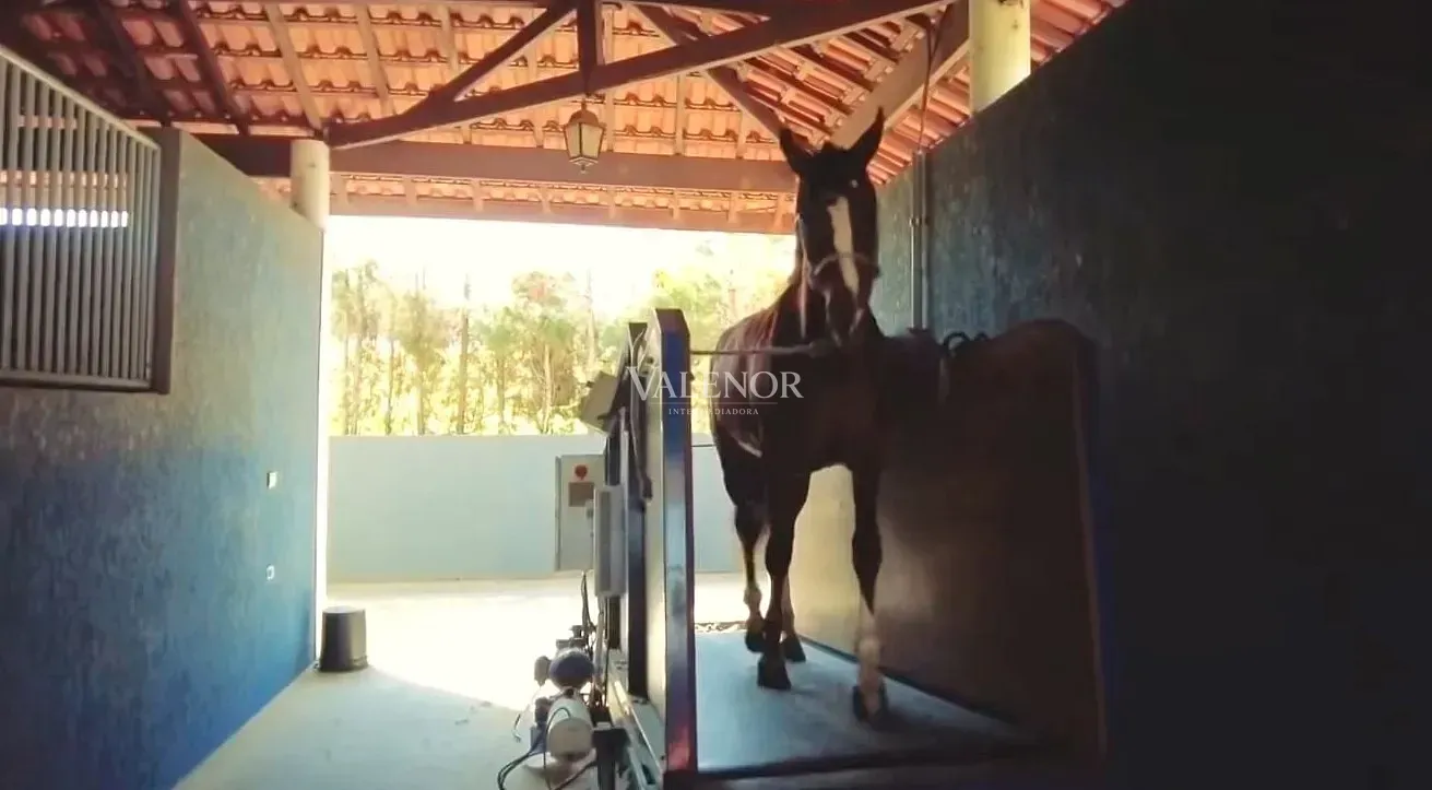 Fazenda, 48 hectares - Foto 19