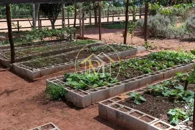 Fazenda, 2 hectares - Foto 9