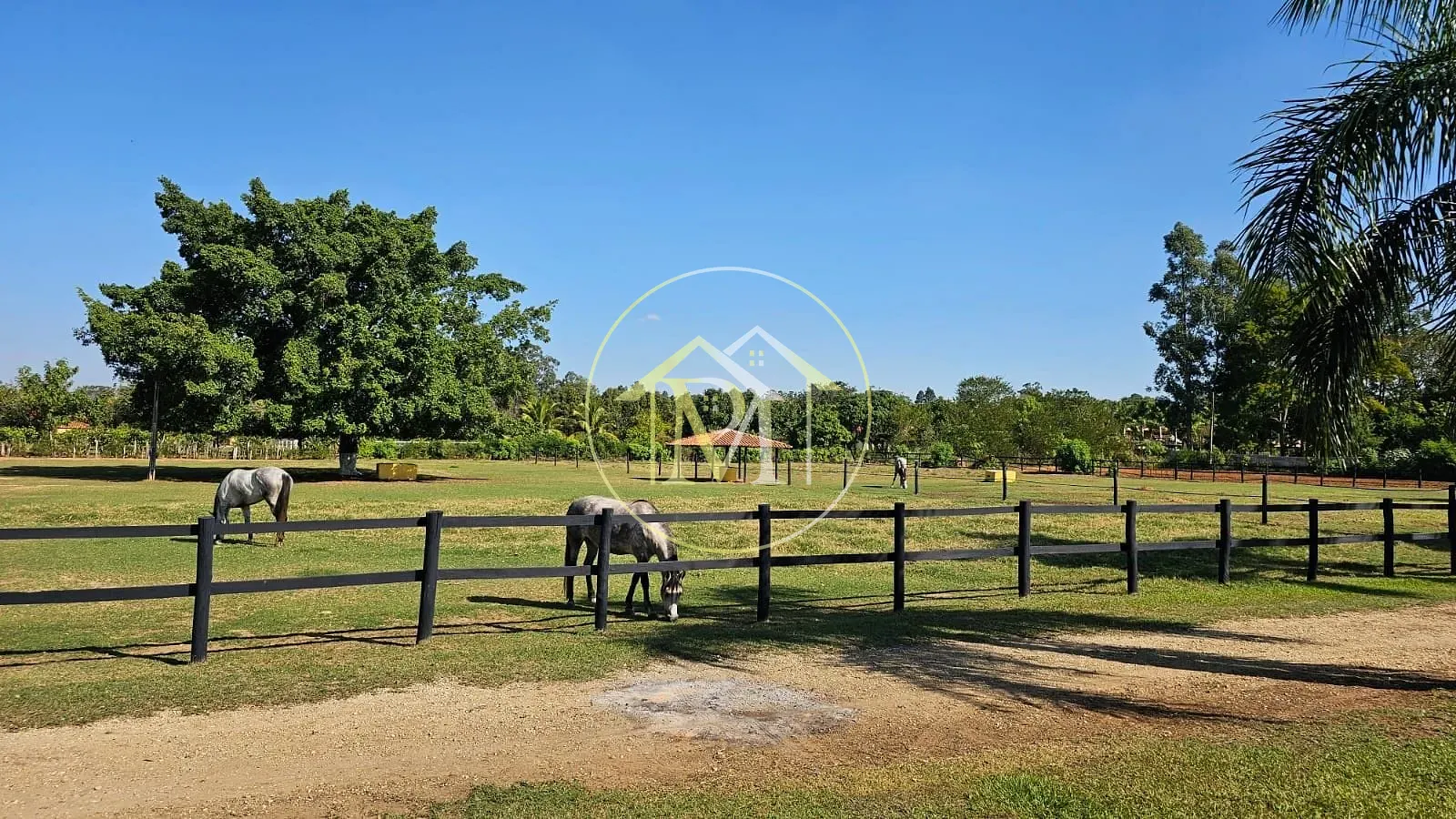 Chácara, 2 quartos, 2 hectares - Foto 16
