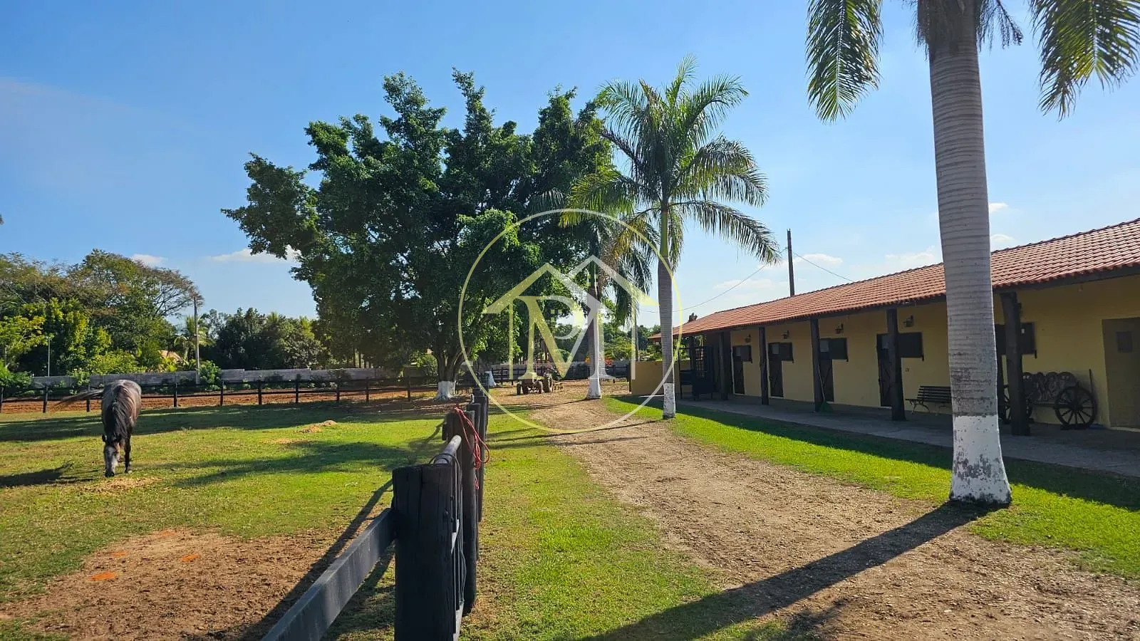 Chácara, 2 quartos, 2 hectares - Foto 14