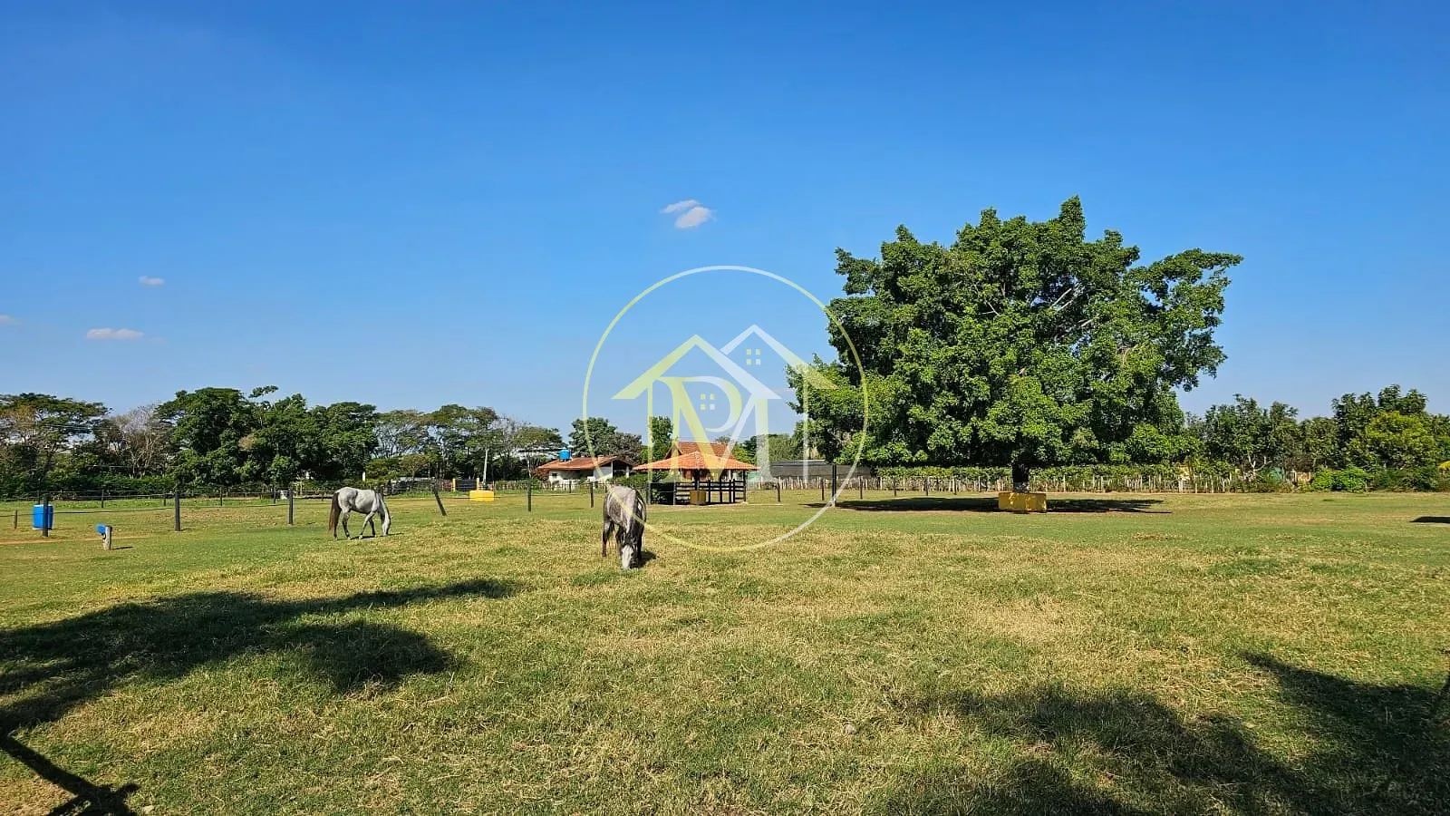 Chácara, 2 quartos, 2 hectares - Foto 18