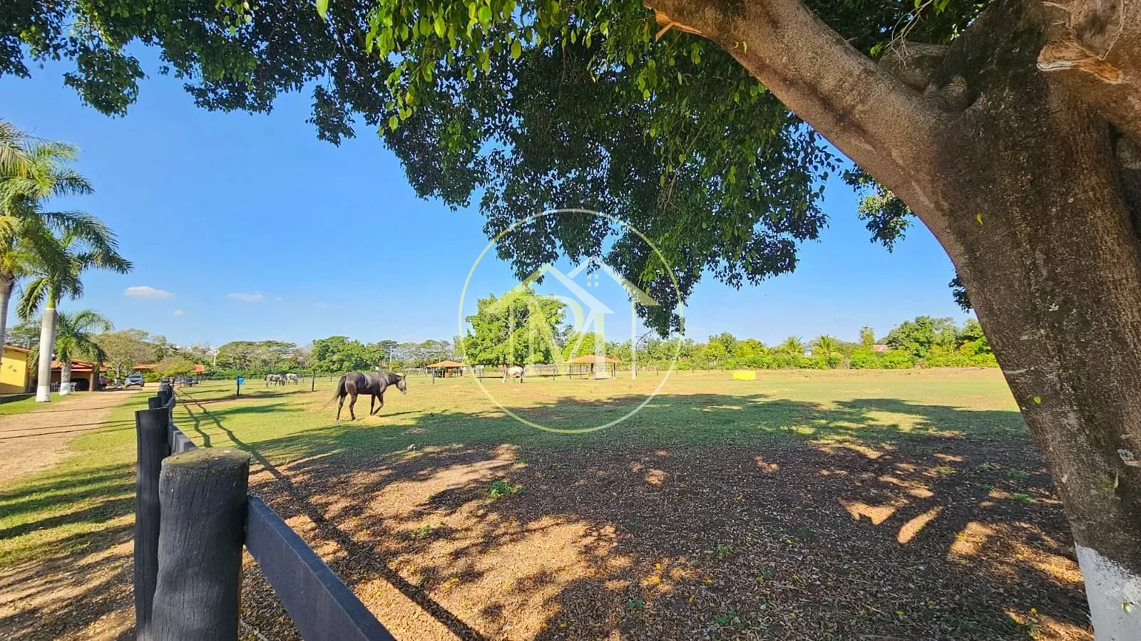 Chácara, 2 quartos, 2 hectares - Foto 13