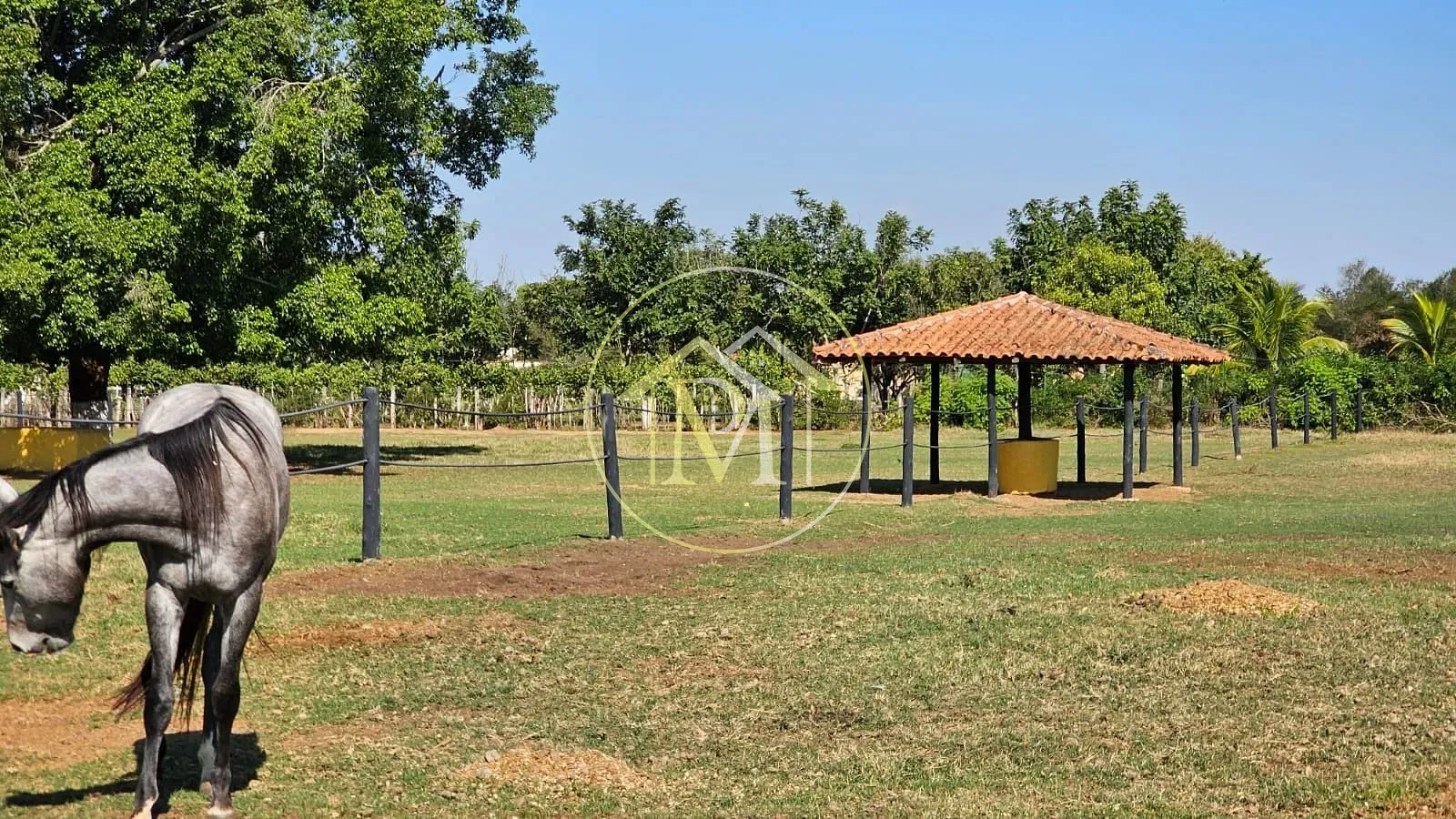 Chácara, 2 quartos, 2 hectares - Foto 21