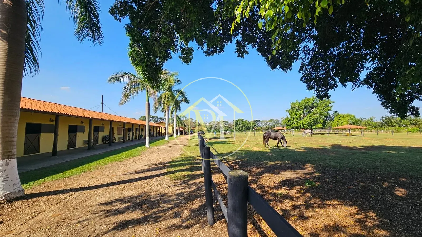 Chácara, 2 quartos, 2 hectares - Foto 1
