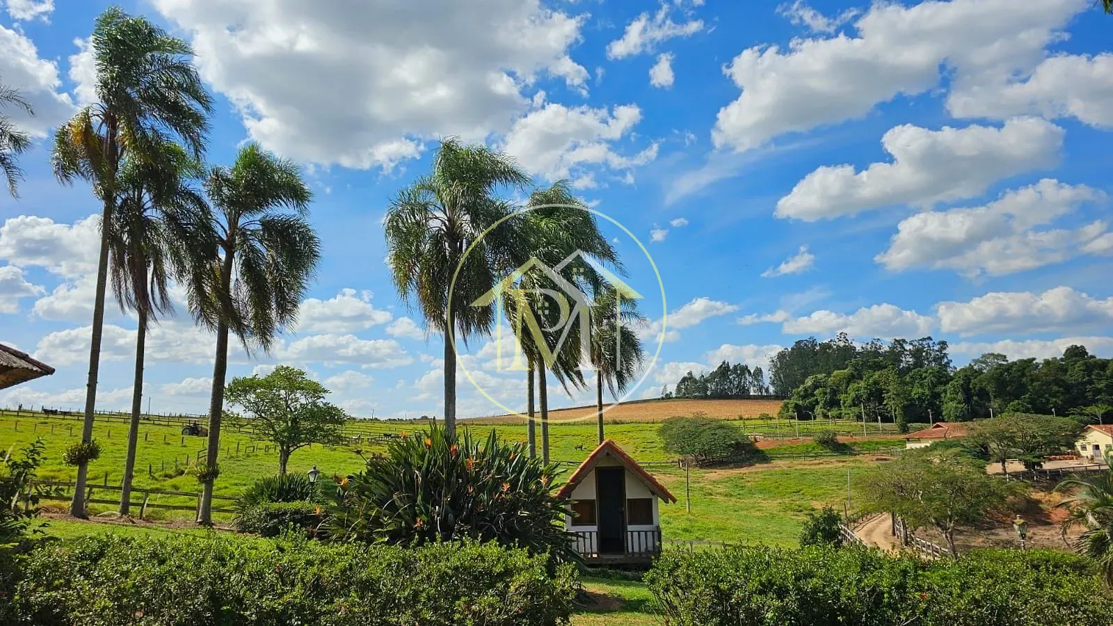 Fazenda, 24 hectares - Foto 21