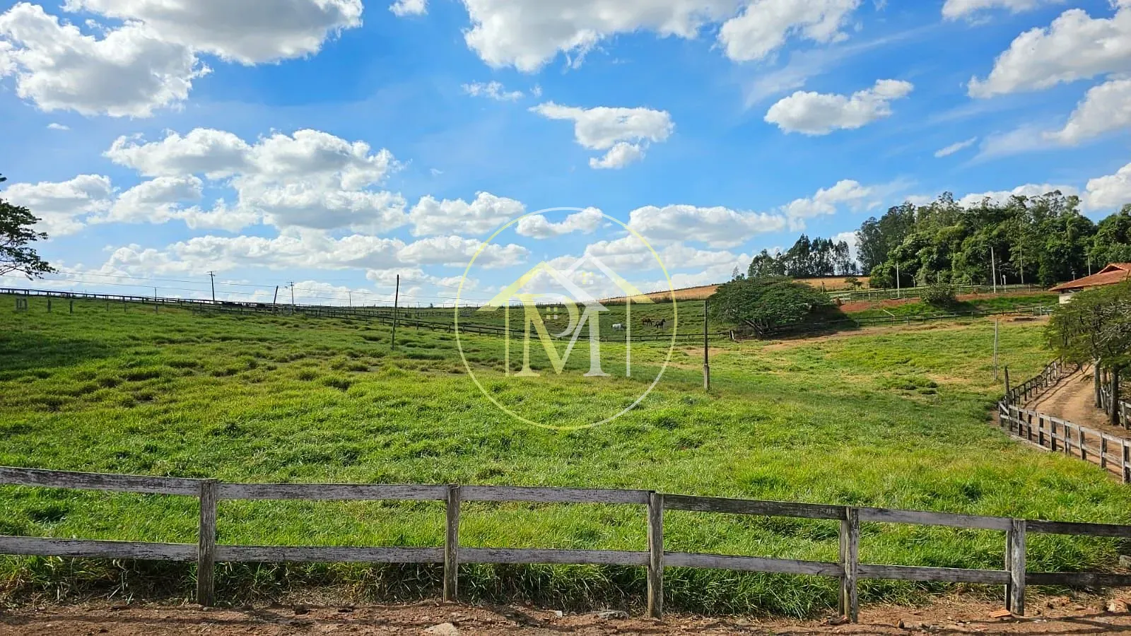Fazenda, 24 hectares - Foto 20
