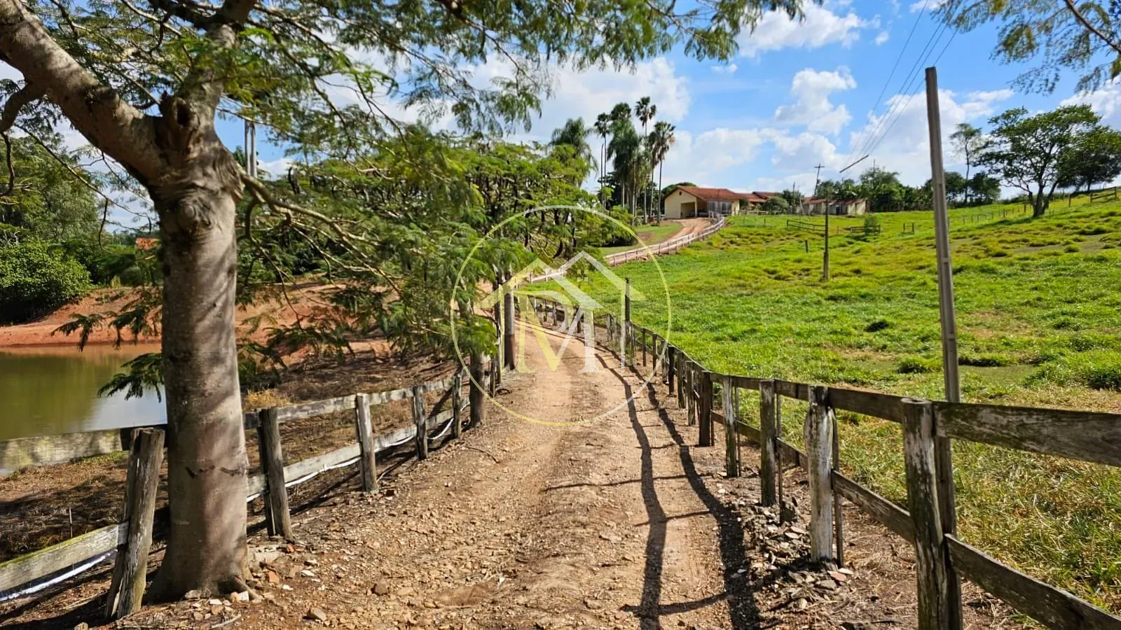 Fazenda, 24 hectares - Foto 24