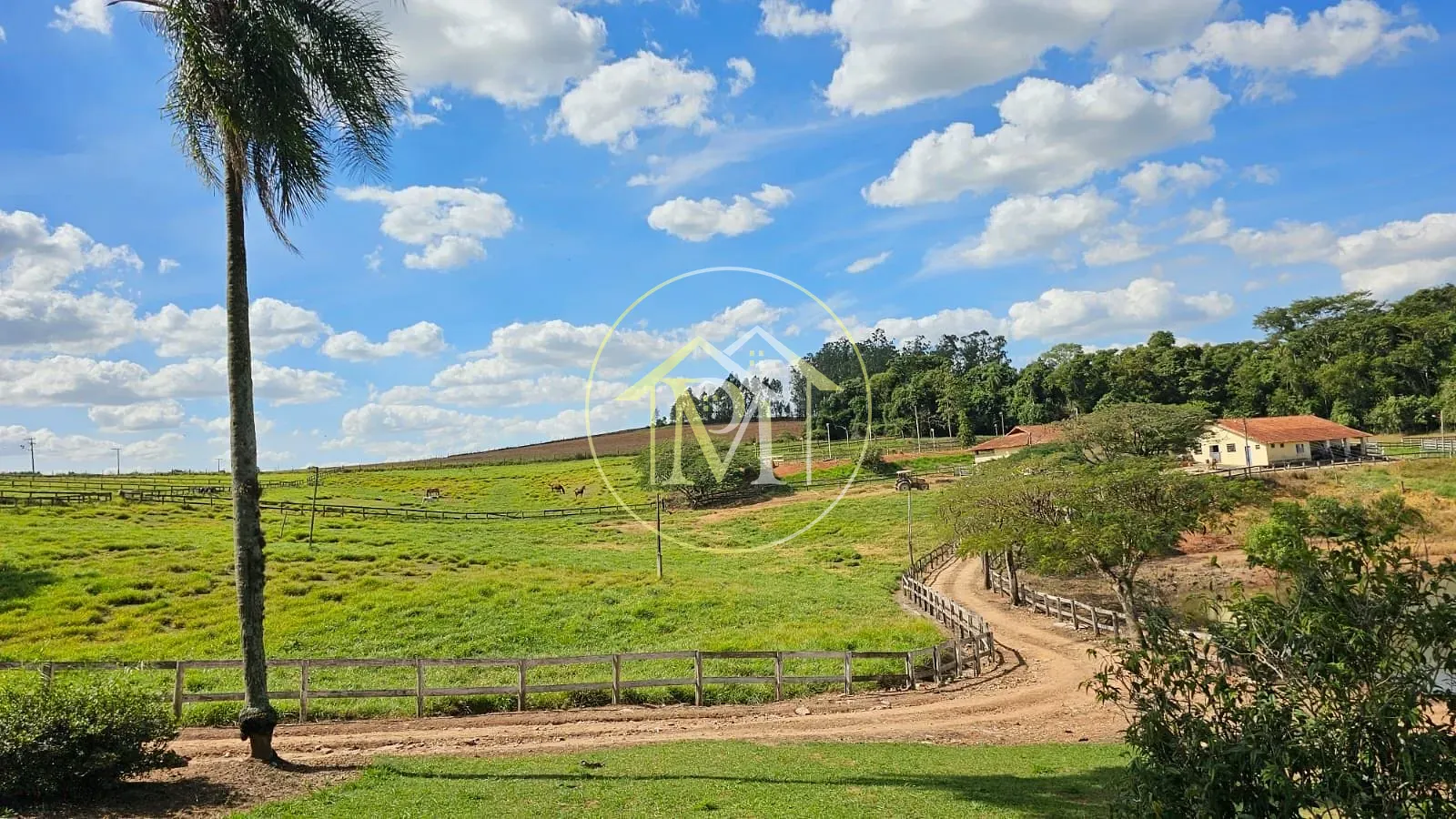 Fazenda, 24 hectares - Foto 19