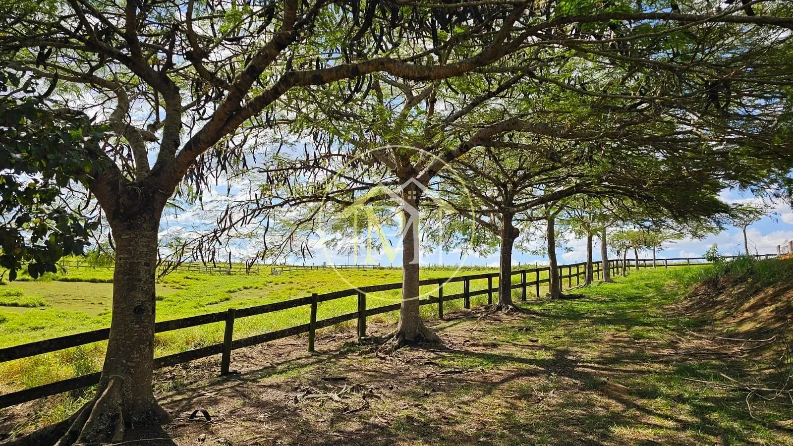 Fazenda, 24 hectares - Foto 13