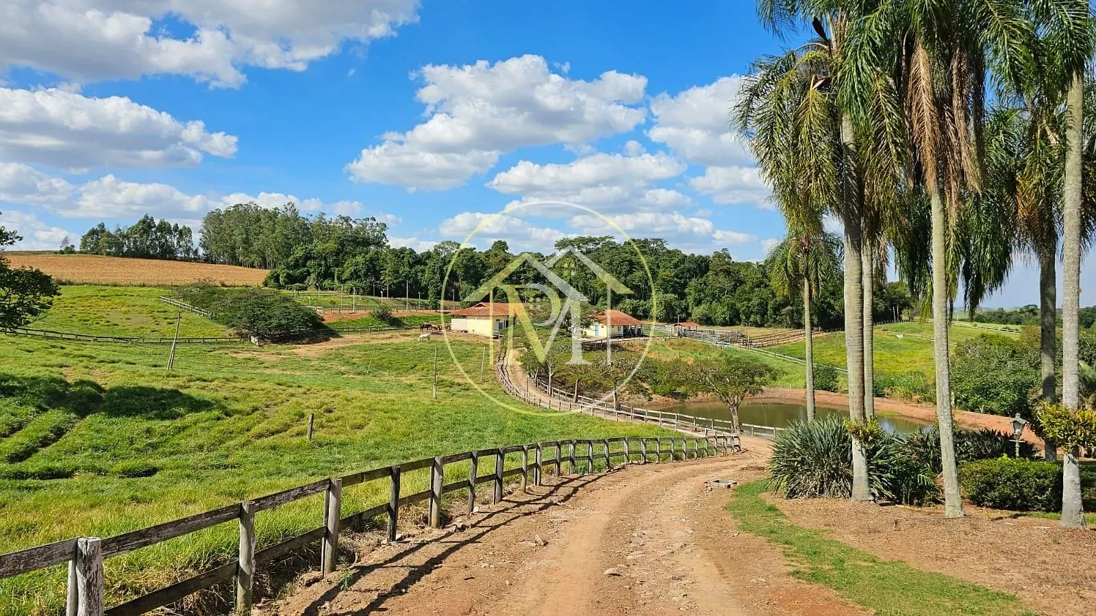 Fazenda, 24 hectares - Foto 9