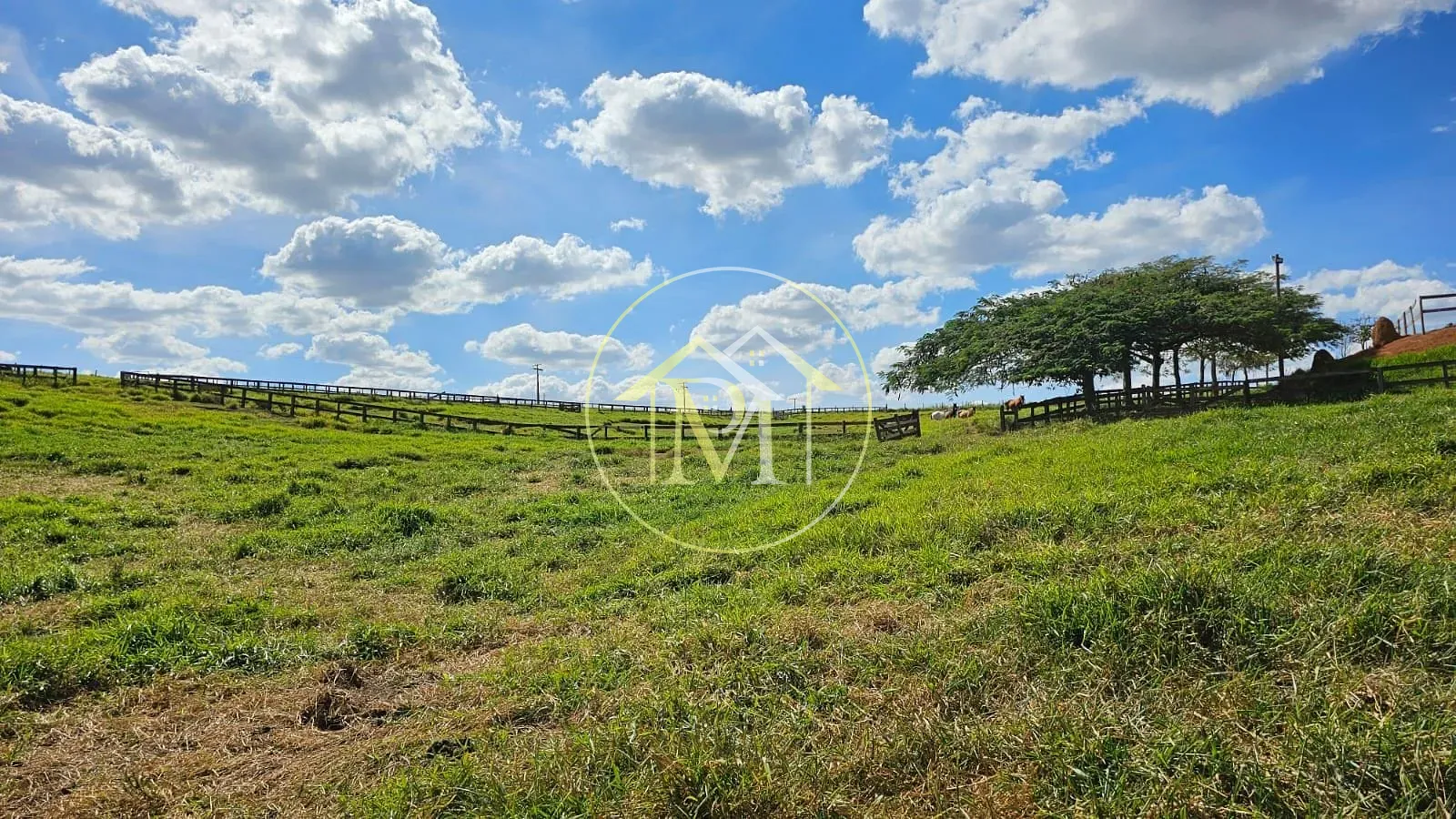Fazenda, 24 hectares - Foto 16