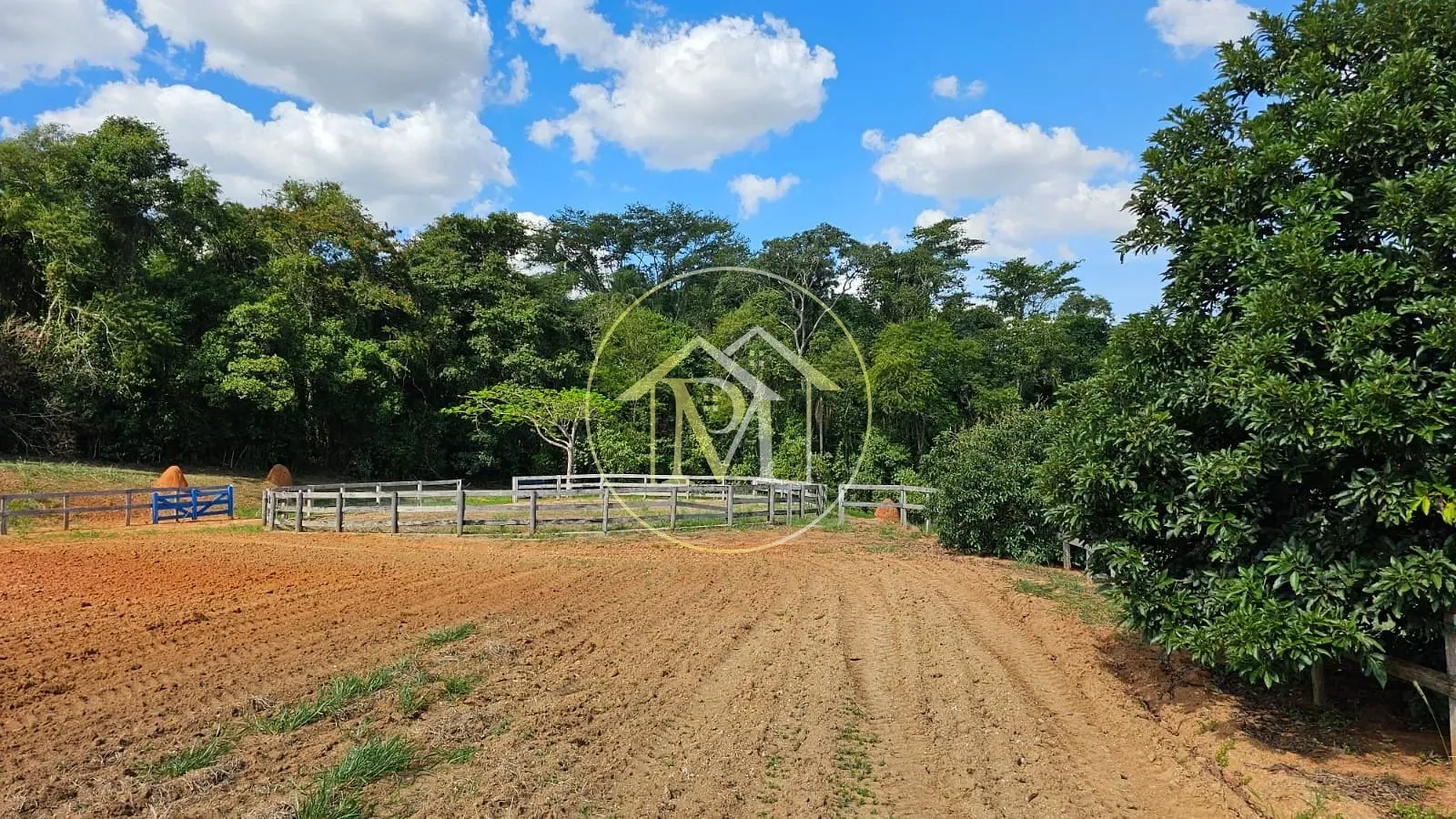 Fazenda, 24 hectares - Foto 22