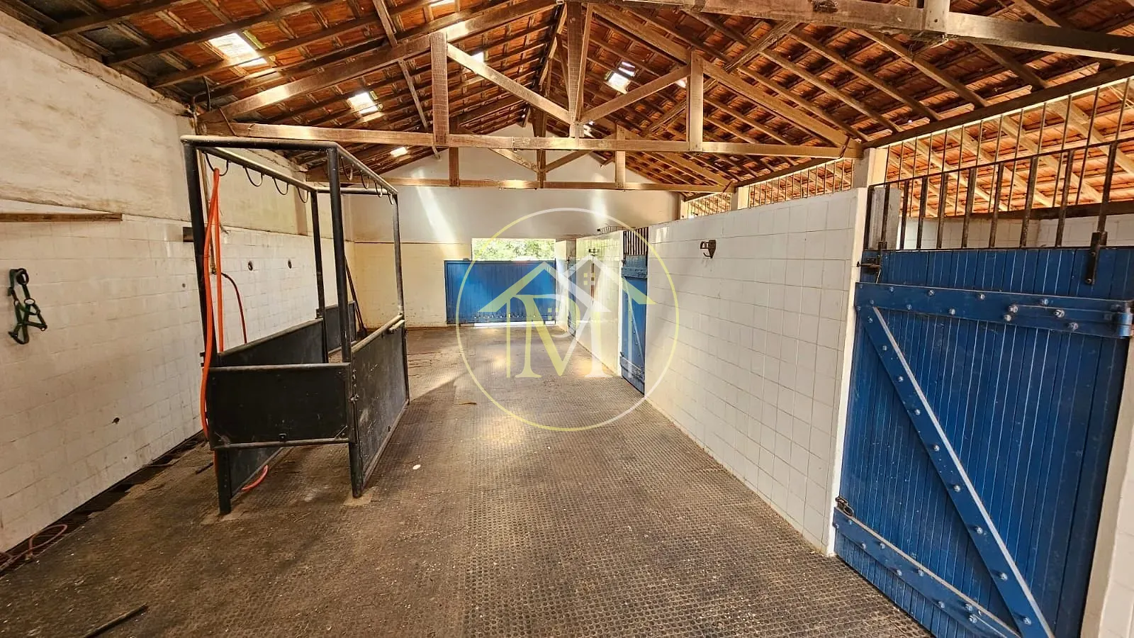 Fazenda, 24 hectares - Foto 4