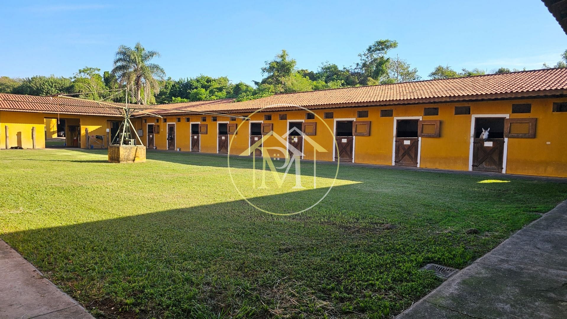 Fazenda, 13 hectares - Foto 10