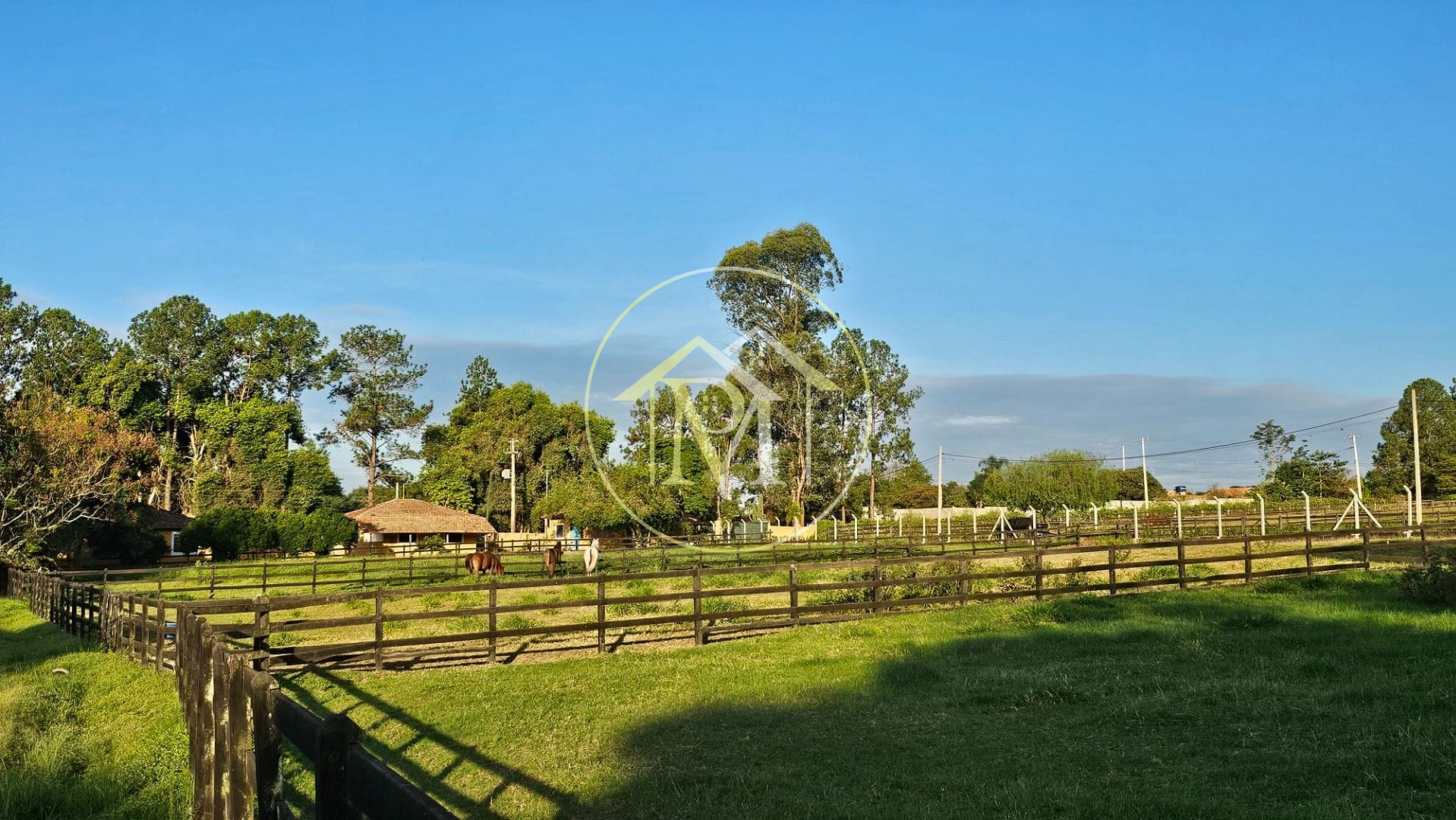 Fazenda, 13 hectares - Foto 4
