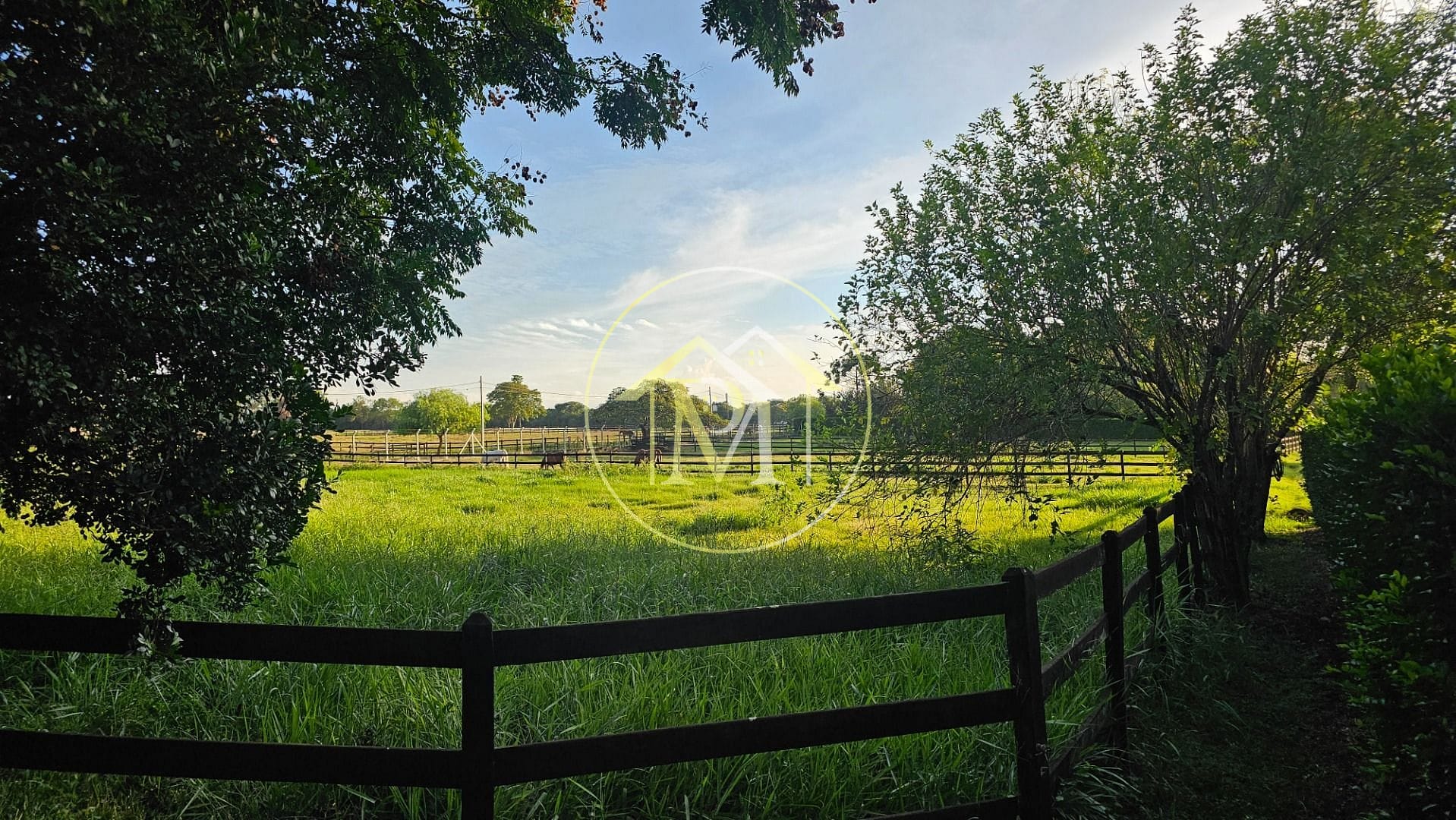Fazenda, 13 hectares - Foto 6