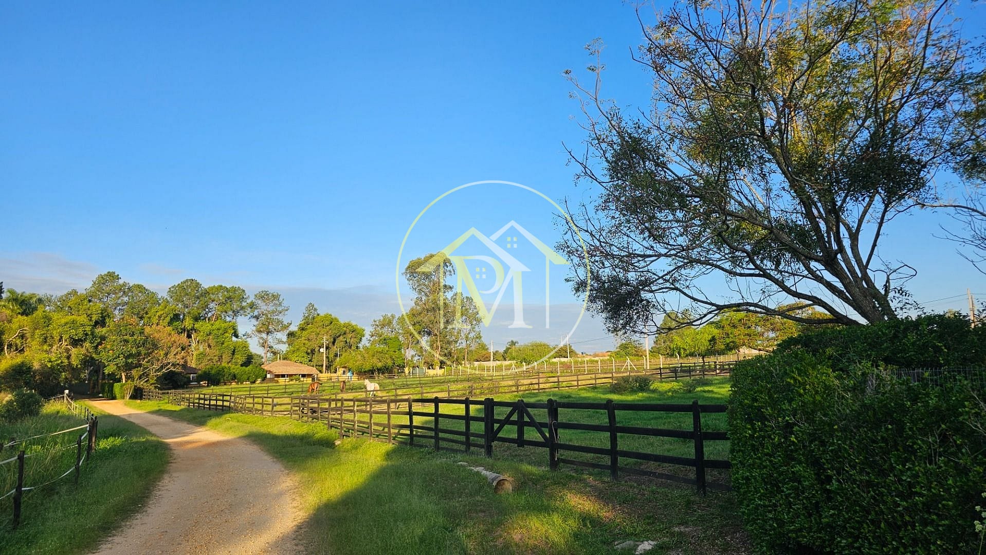 Fazenda, 13 hectares - Foto 3