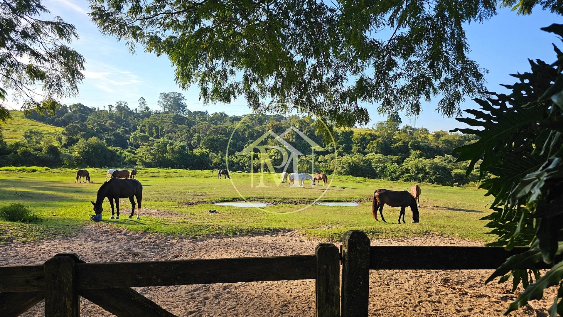 Fazenda, 13 hectares - Foto 20