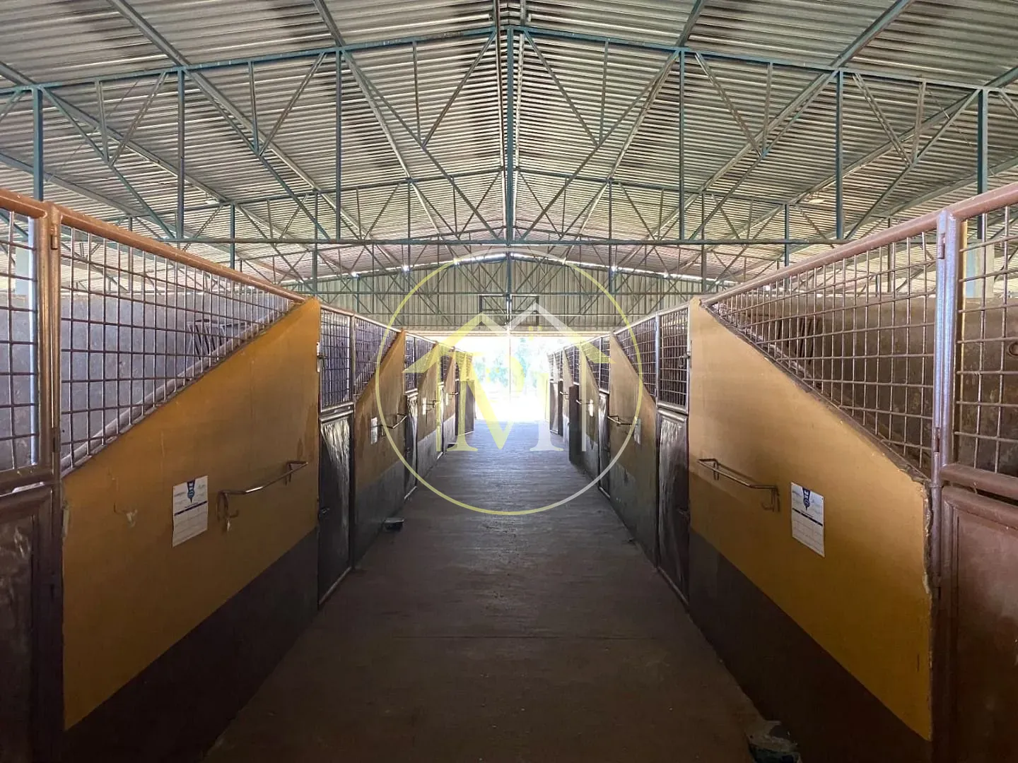 Fazenda, 102 hectares - Foto 31