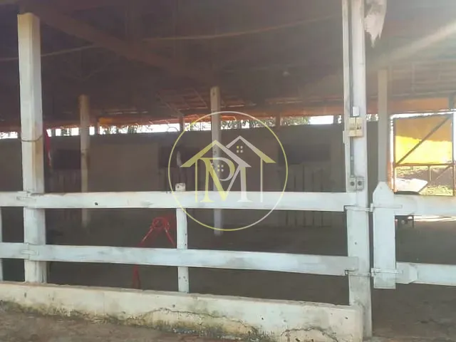 Haras com 169400m² 3 quartos e 2 banheiros, à venda, no bairro Área rural em Manduri