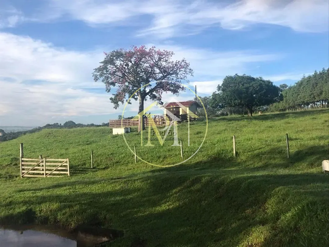 Fazenda, 15 hectares - Foto 37