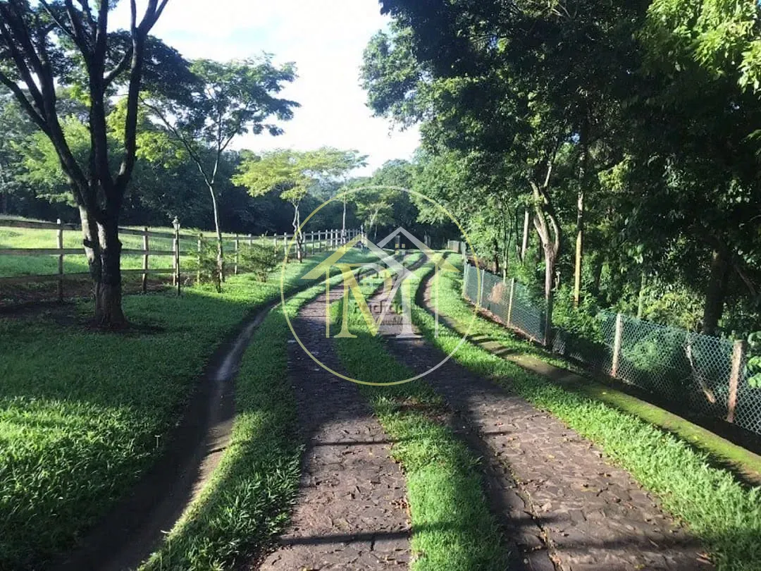 Fazenda, 15 hectares - Foto 42