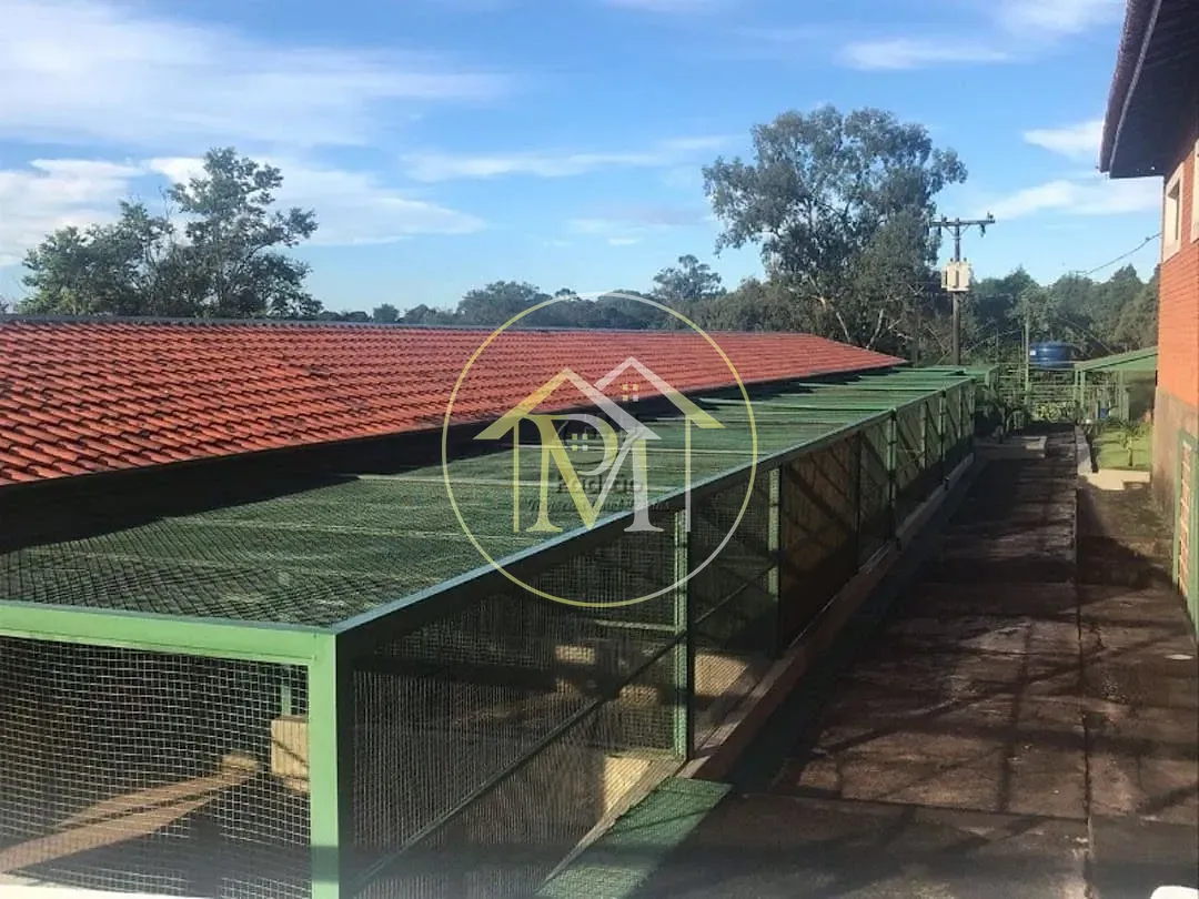 Fazenda, 15 hectares - Foto 31