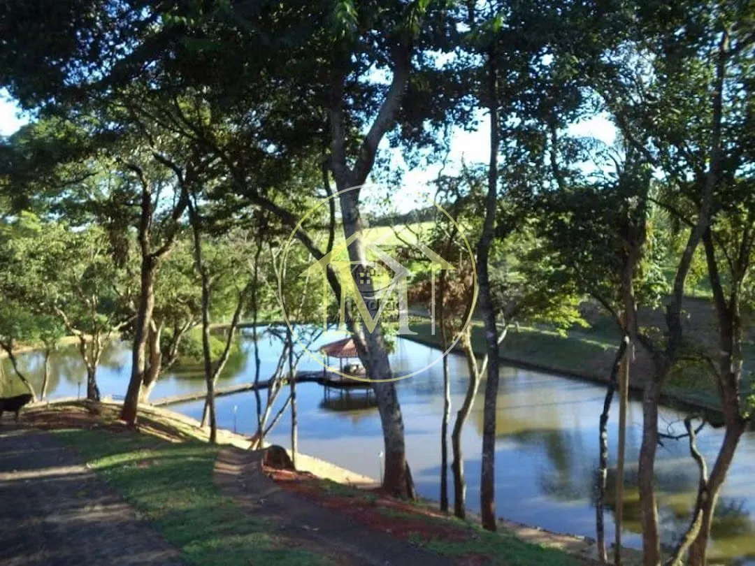 Fazenda, 15 hectares - Foto 9