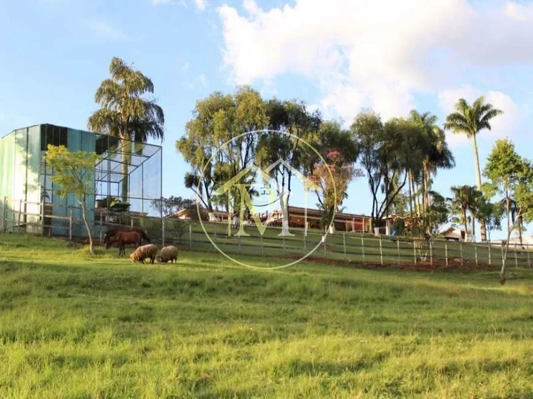 Fazenda, 15 hectares - Foto 11