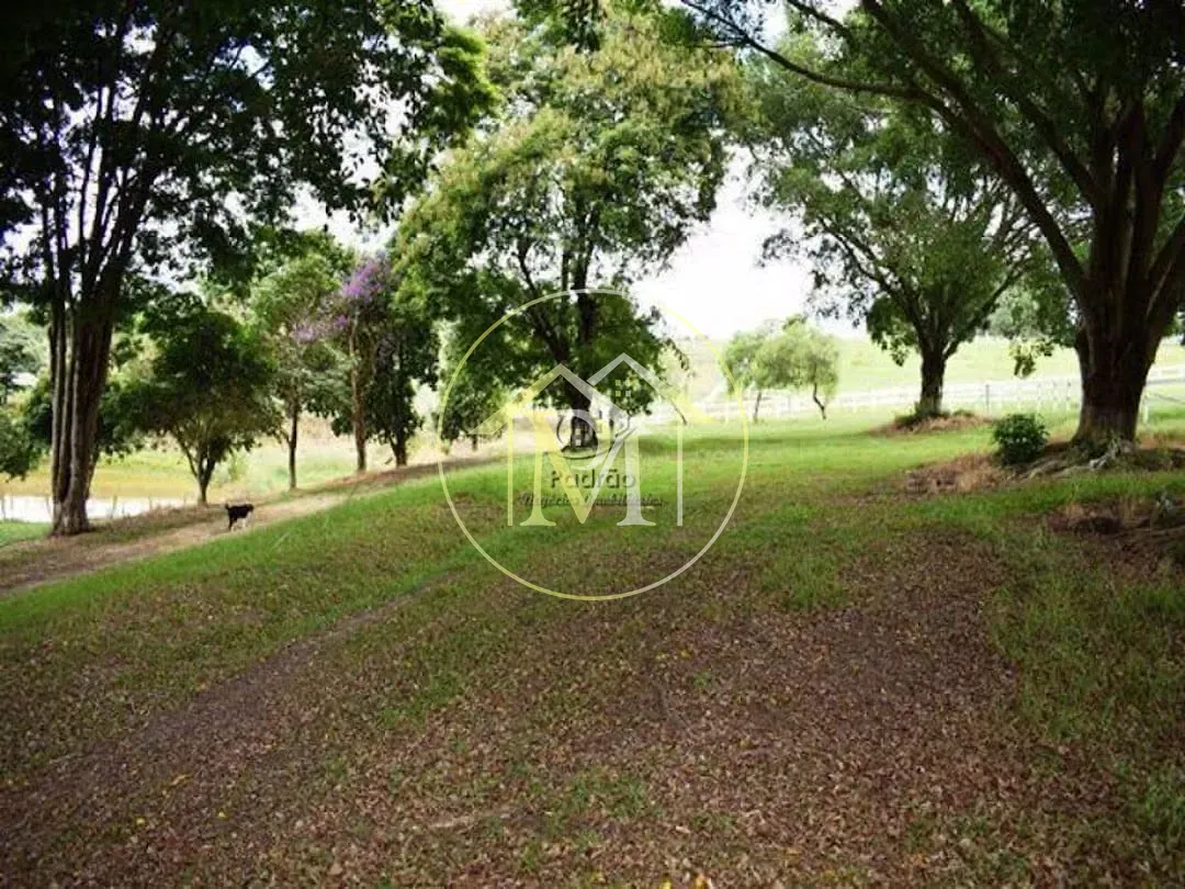 Fazenda, 39 hectares - Foto 3