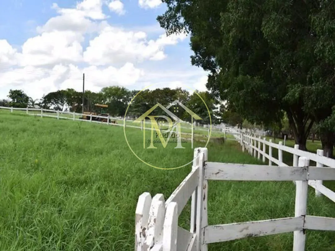 Fazenda, 39 hectares - Foto 16