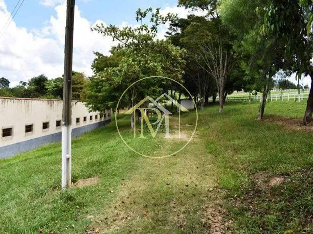 Fazenda, 39 hectares - Foto 11