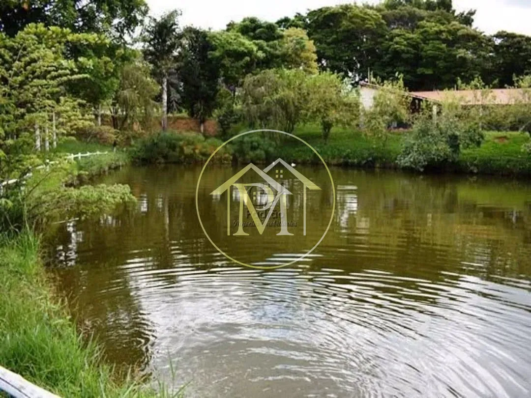 Fazenda, 39 hectares - Foto 12